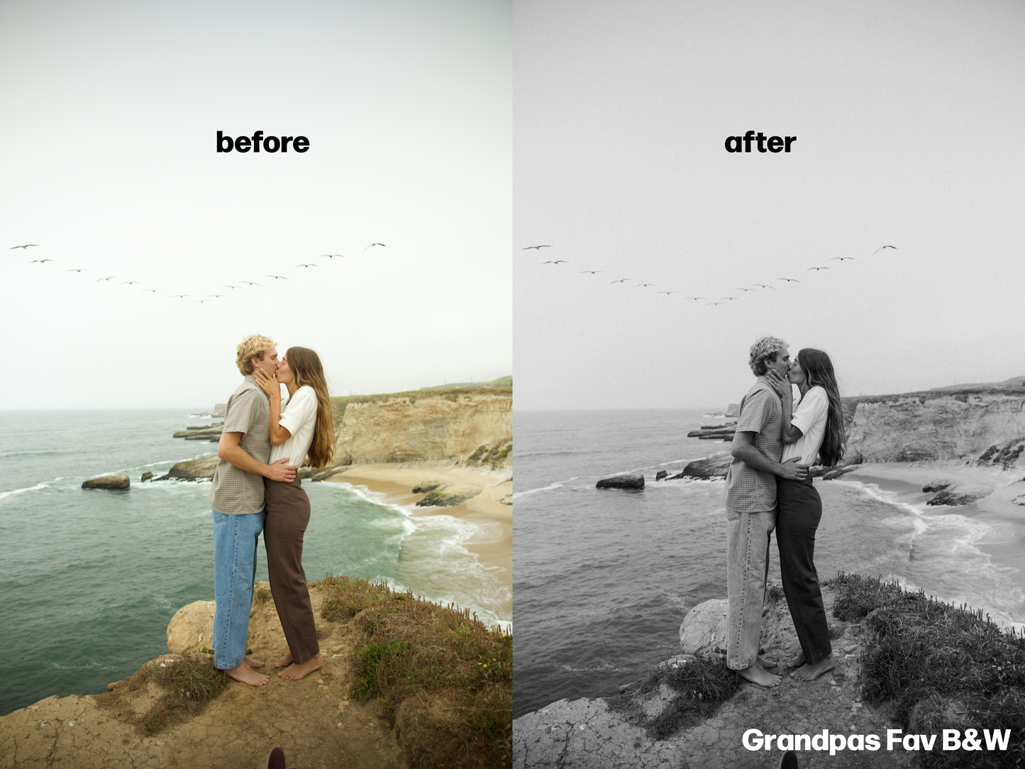 GRANDPAS FAV B&W PRESET