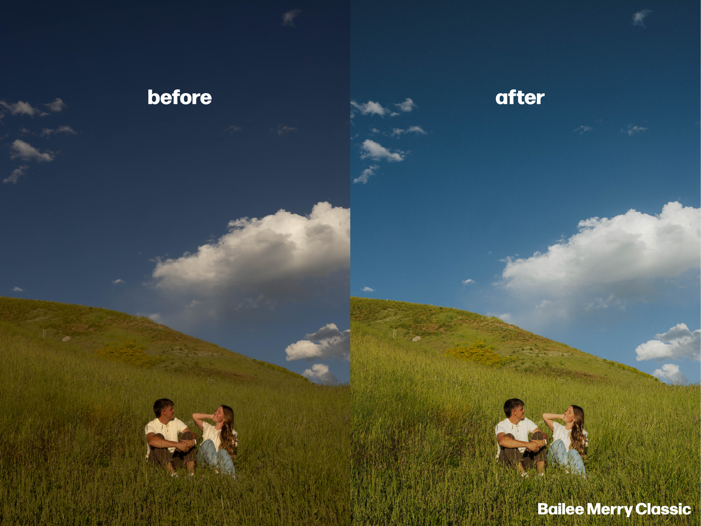 The Classic Bailee Merry Preset