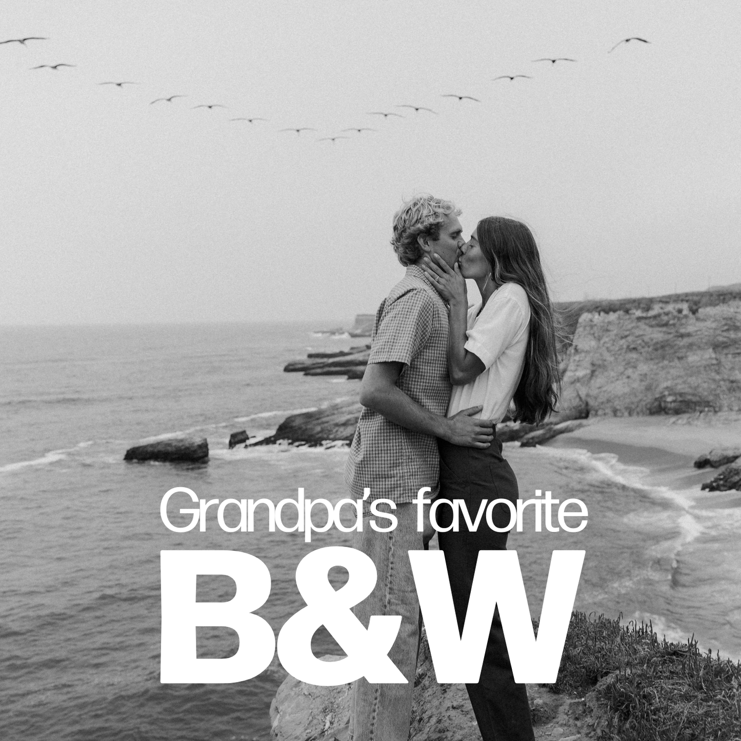 THE PRESET BUNDLE By Bailee Merry