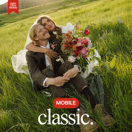 The Classic Bailee Merry Preset (MOBILE)