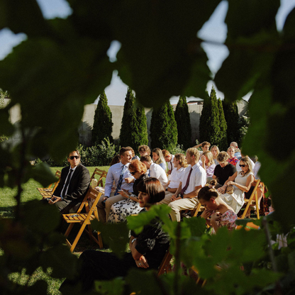 The Classic Bailee Merry Preset