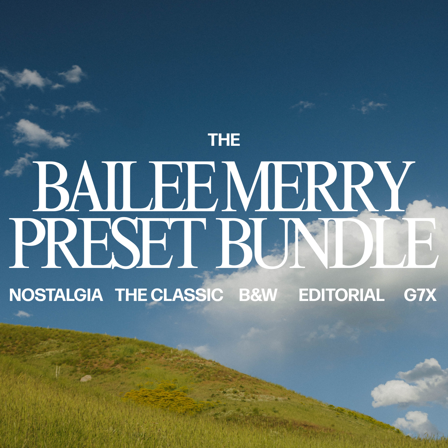 THE PRESET BUNDLE By Bailee Merry